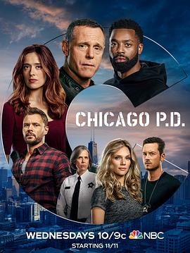 芝加哥警署 第八季第10集