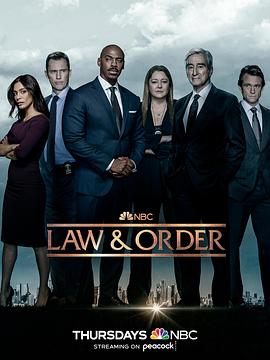 法律与秩序 第二十二季第11集