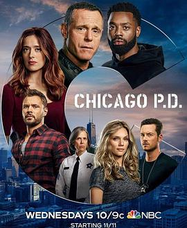 芝加哥警署第八季第10集