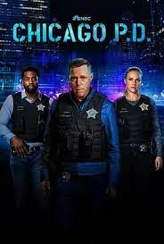 芝加哥警署 第十一季第06集