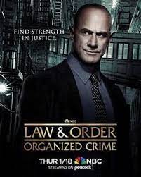 法律与秩序：组织犯罪 第四季第05集