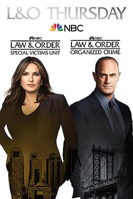 法律与秩序：特殊受害者第二十三季第12集