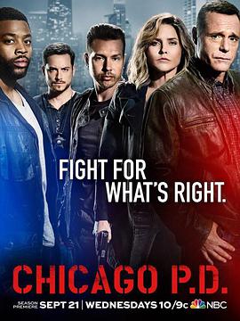 芝加哥警署第四季第14集