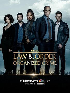法律与秩序：组织犯罪第三季第10集