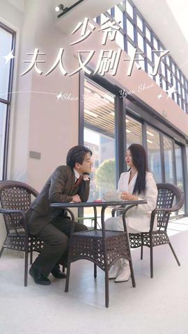 少爷夫人又刷卡了(全集)